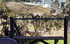 Ferguson Falls Wines Cafe - thumb 2