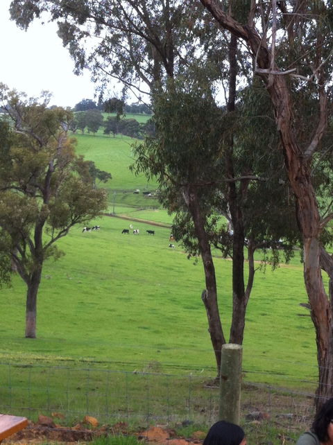 Ferguson Falls Wines Cafe - LBG 3