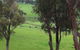Ferguson Falls Wines Cafe - thumb 7