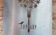 Topiary - thumb 4