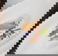 Oliver's Bar  Bistro - LBG