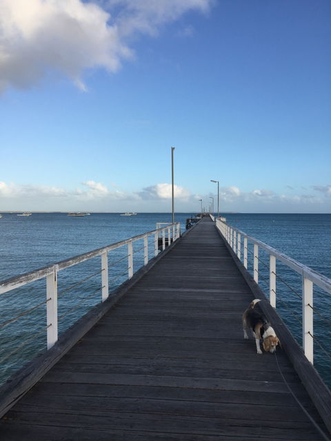 Waterfront Cafe - LBG 2