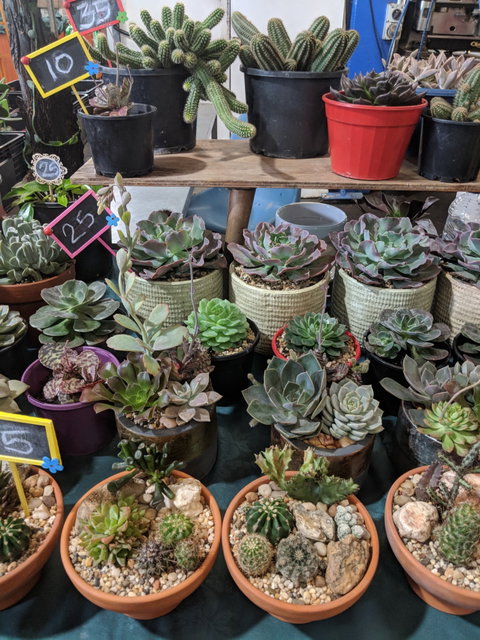 Rusty's Market - LBG 2