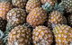 Rusty's Market - thumb 6