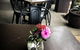 Tiny's Juice Bar Cafe - thumb 1