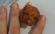 Texas Wild Wings - thumb 1