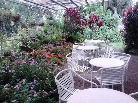 The Cafe Bellenden Ker - LBG 0