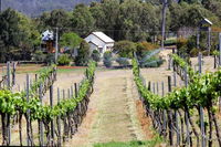 Prendergasts Irish Tavern