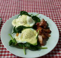 The Shed Cafe - LBG