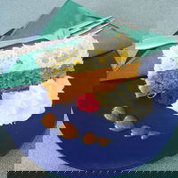 Willie Wagtails Nest