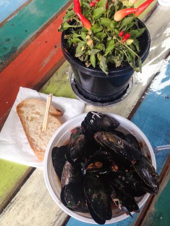 Mussel Pot - LBG 0