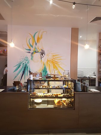 Warralily Cockatoo - LBG 0