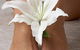 Essence Spa & Beauty - thumb 2