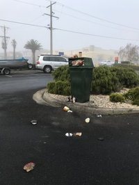 Mcdonald's Family Restaurants