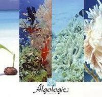 Marlenes Beauty Inside Out - LBG