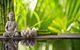 Sanctum Medi Spa Retreat - thumb 4