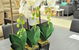 Sassi Furniture & Bedding - thumb 2