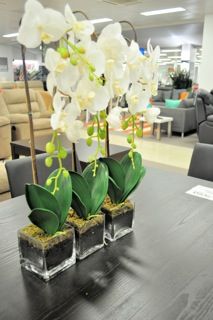 Sassi Furniture & Bedding - LBG 2