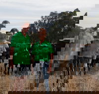 Milawa Organic Beef - LBG
