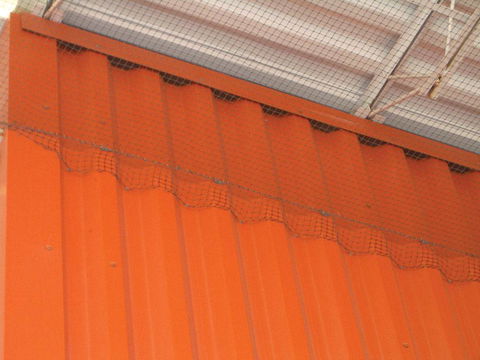 Statewide Pest Solutions - LBG 1