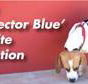 Blue Peace Pest Control - LBG