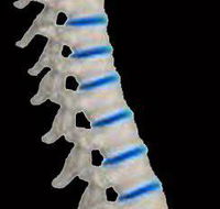 Glasco Chiropractic - LBG
