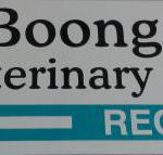 Boongarry Vet Surgery - LBG