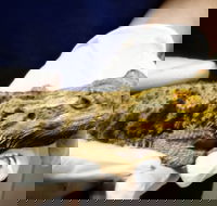 Parap Veterinary Hospital - LBG