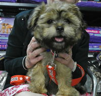 North West Veterinary Clinic - LBG