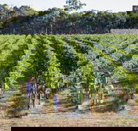 Weathercraft Wines - LBG