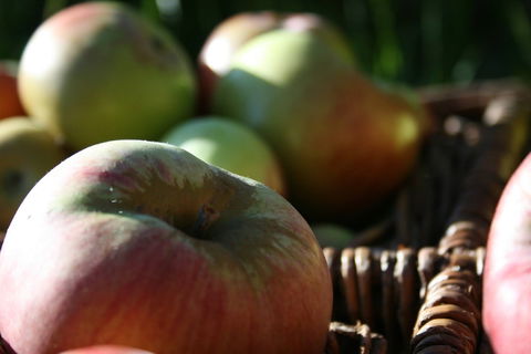 Denmark Heritage Cider Company - LBG 0