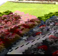 That Food Truck - LBG