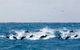 Douglass Port Stephens Real Estate - thumb 1