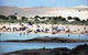 Port Stephens Complete Real Estate - thumb 1