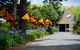 Oakdene Vineyards And Cellar Door - thumb 0