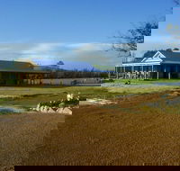 Thomson Brook Wines - LBG