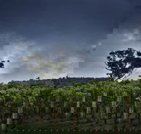 Dalrymple Vineyards - LBG