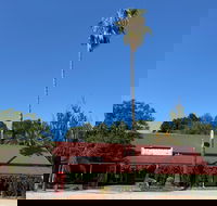 The Vine Hotel North Wangaratta - LBG