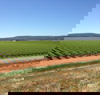 Melange Wines - LBG