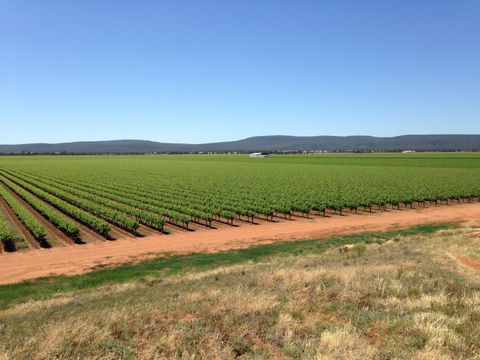 Melange Wines - LBG 0