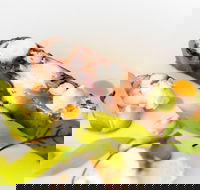 The Wild Herring - LBG