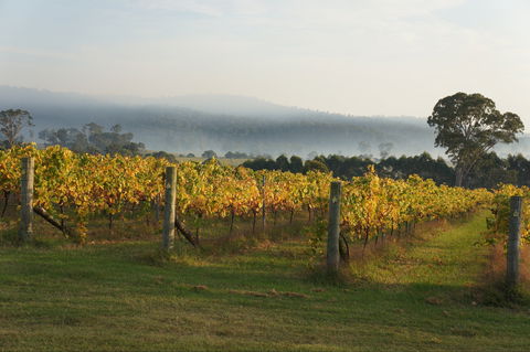 Rusty Fig Wines - LBG 1