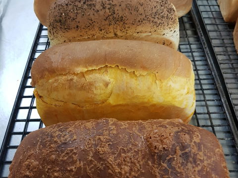 Plantation Organic Bakery - LBG 0