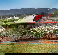 Hanging Tree Wines - LBG