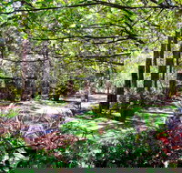 Naked Apple Cider - LBG