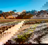 Synchronicity Farm - LBG