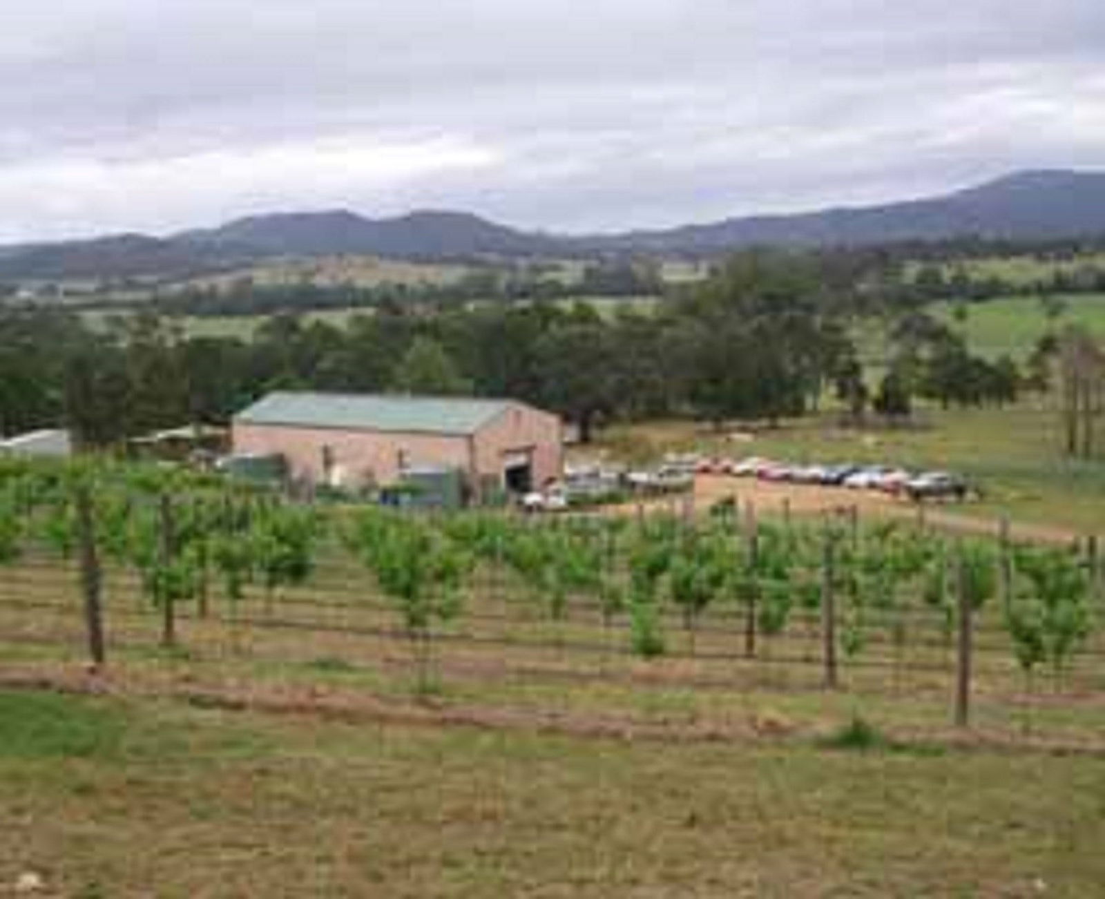 Dyers Crossing NSW LBG