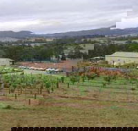 Villa d Esta Vineyard - LBG