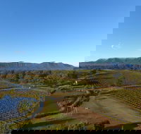 Mistletoe Winery - LBG