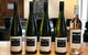Tertini Wines - thumb 2